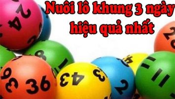 Cách phân bố vốn nuôi lô 3 ngày hiệu quả